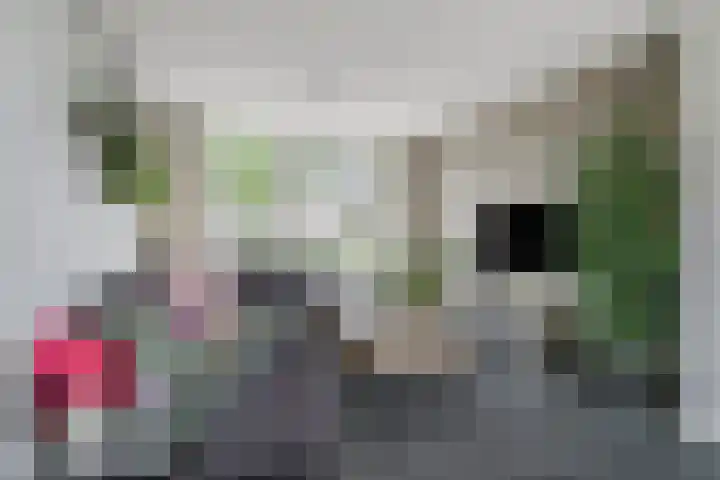 Karel V-straat 6 Oss thumbnail 7