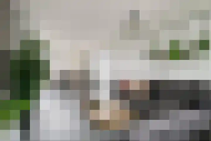 Karel V-straat 6 Oss thumbnail 8