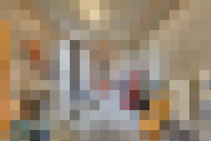 Karel van Brimeustraat 13 Venlo thumbnail 15