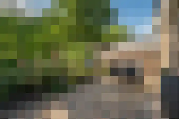Karel van Brimeustraat 13 Venlo thumbnail 31