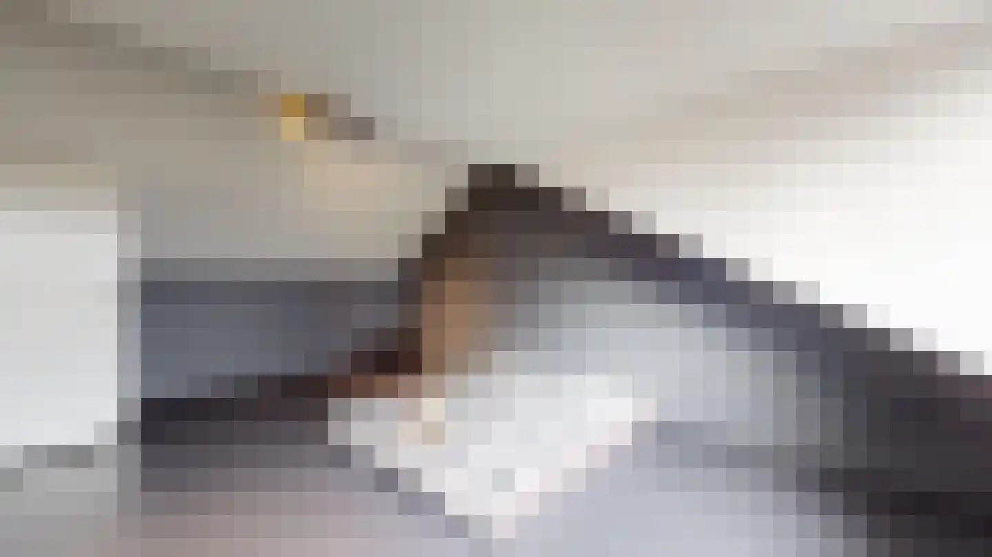 Karel van Bronckhorstlaan 23 Obbicht thumbnail 31