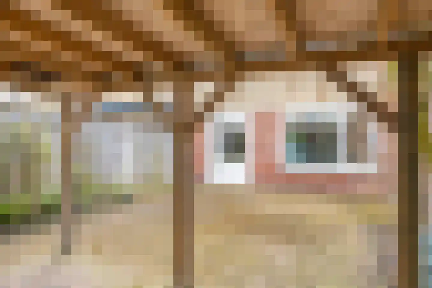 Karel van de Woestijnestraat 12 Hengelo thumbnail 35