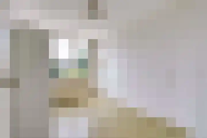 Karel van de Woestijnestraat 5 Venlo thumbnail 16