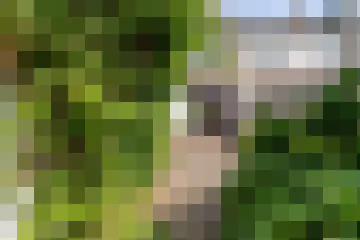 Karel van de Woestijnestraat 5 Venlo thumbnail 23
