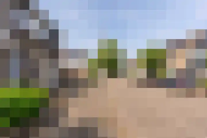 Karel van de Woestijnestraat 5 Venlo thumbnail 24