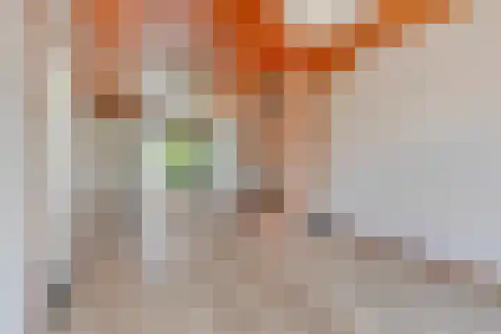 Karel van de Woestijnestraat 5 Venlo thumbnail 5