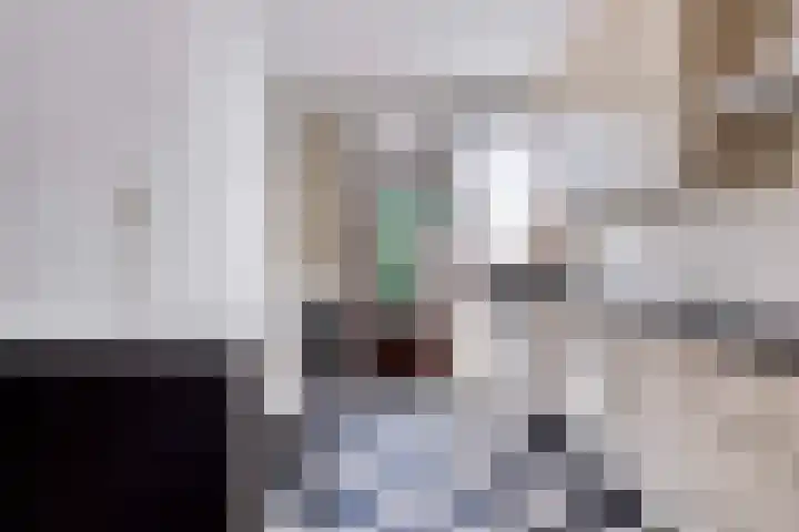 Karel van de Woestijnestraat 5 Venlo thumbnail 7