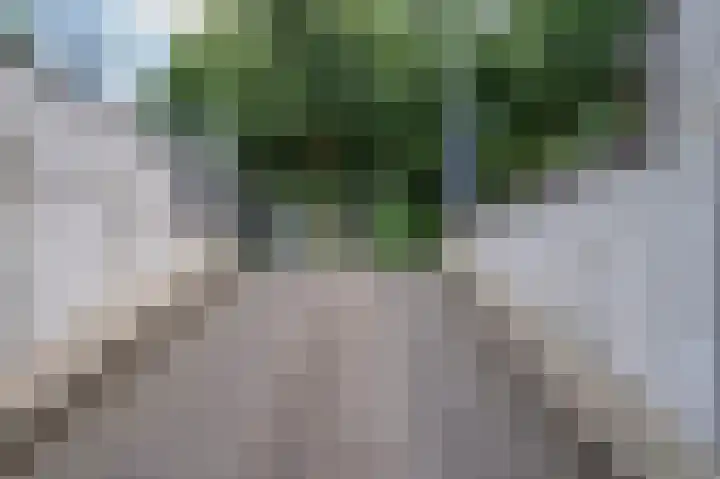 Karel van Egmondstraat 120 A Venlo thumbnail 58
