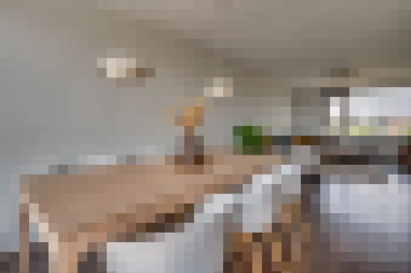Karel van Egmondstraat 196 Venlo thumbnail 17