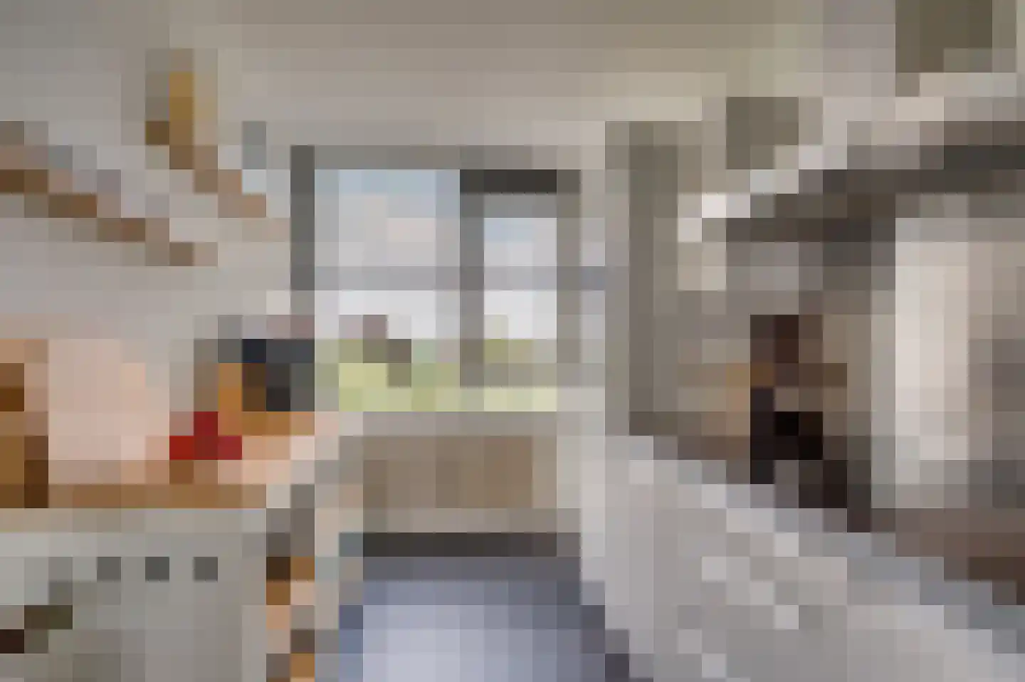 Karel van Egmondstraat 196 Venlo thumbnail 26