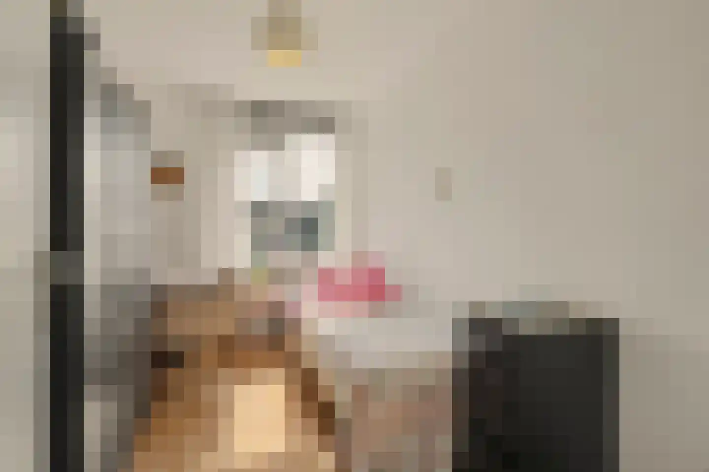 Karel van Egmondstraat 200 Venlo thumbnail 15