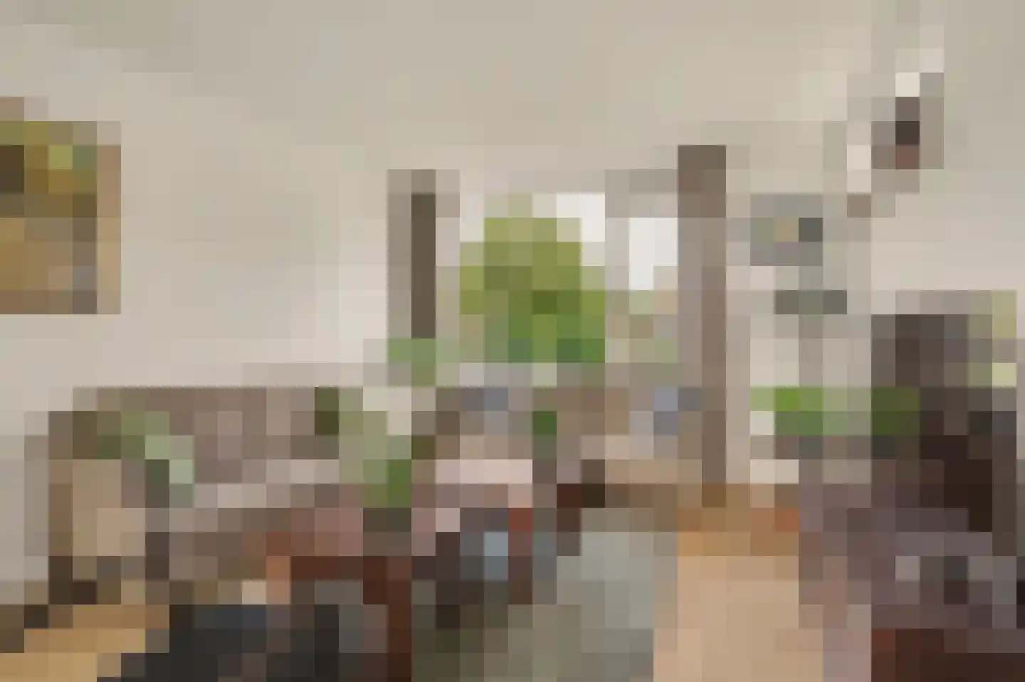 Karel van Egmondstraat 200 Venlo thumbnail 5