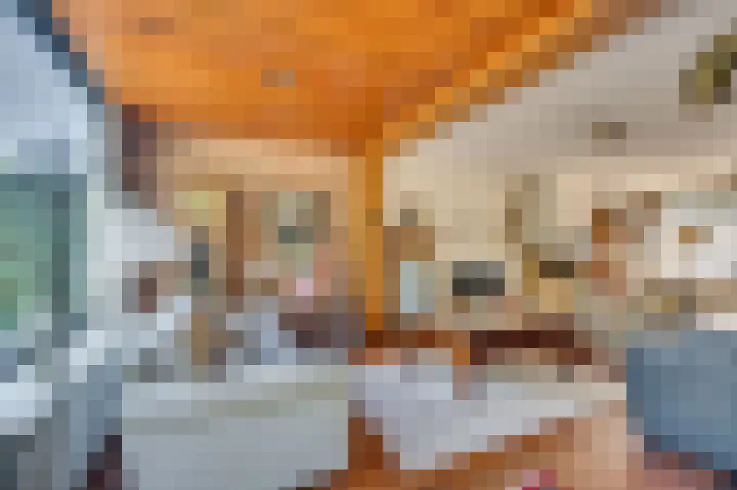 Karel van Egmondstraat 21 Venlo thumbnail 15