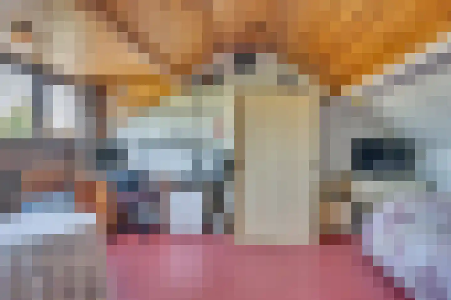 Karel van Egmondstraat 21 Venlo thumbnail 38