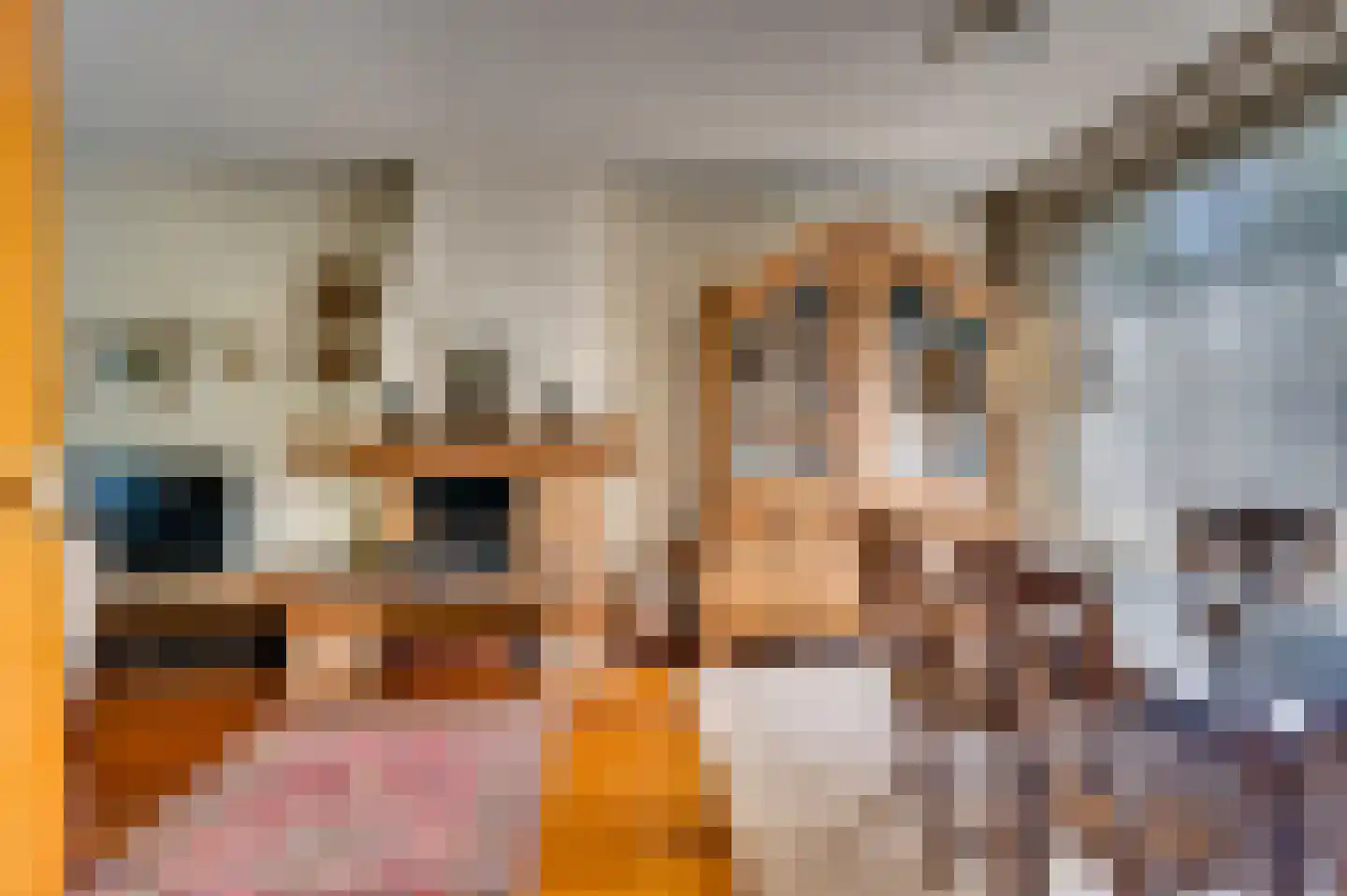 Karel van Egmondstraat 21 Venlo thumbnail 6