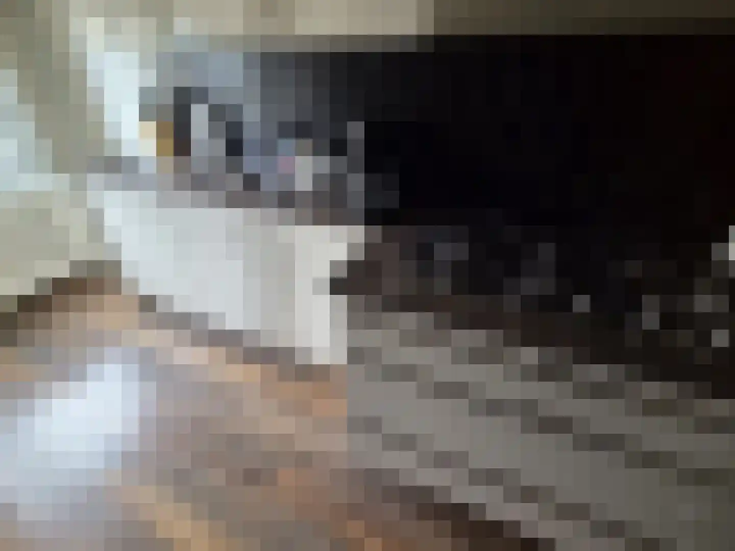 Karel van Egmondstraat 54 Venlo thumbnail 5