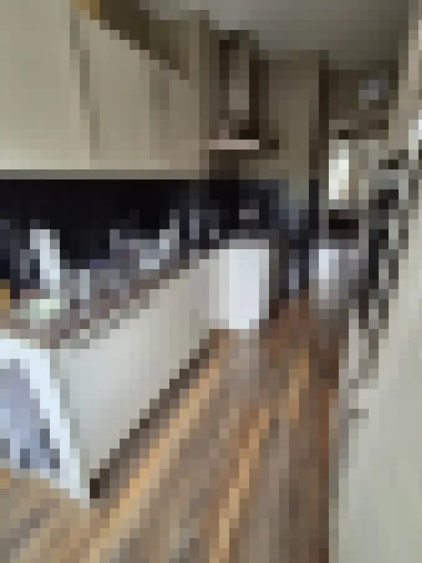 Karel van Egmondstraat 54 Venlo thumbnail 6