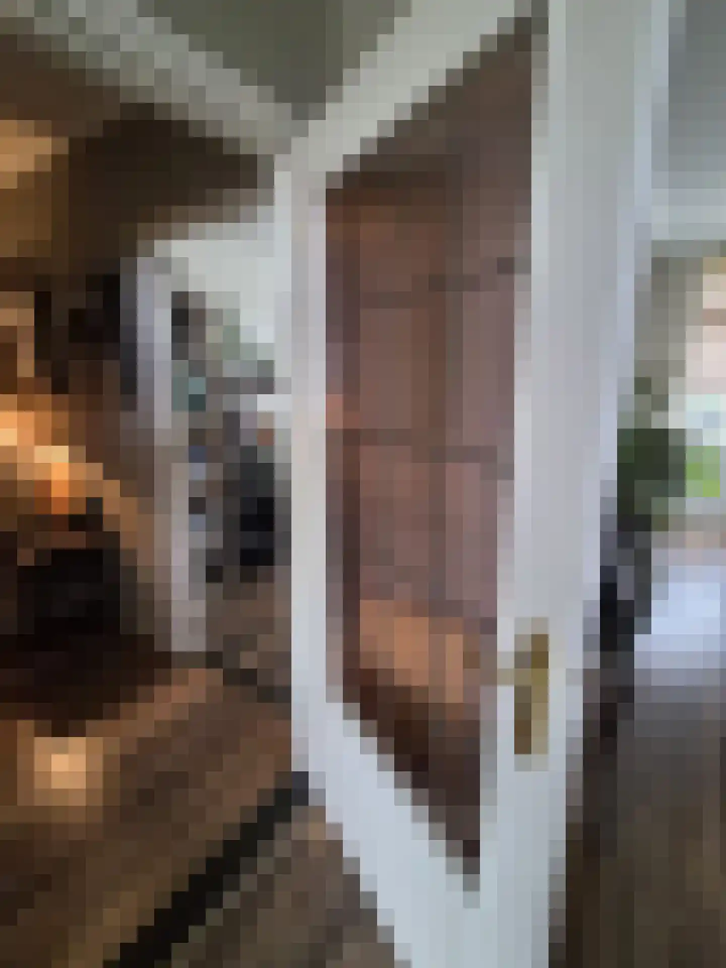 Karel van Egmondstraat 54 Venlo thumbnail 8
