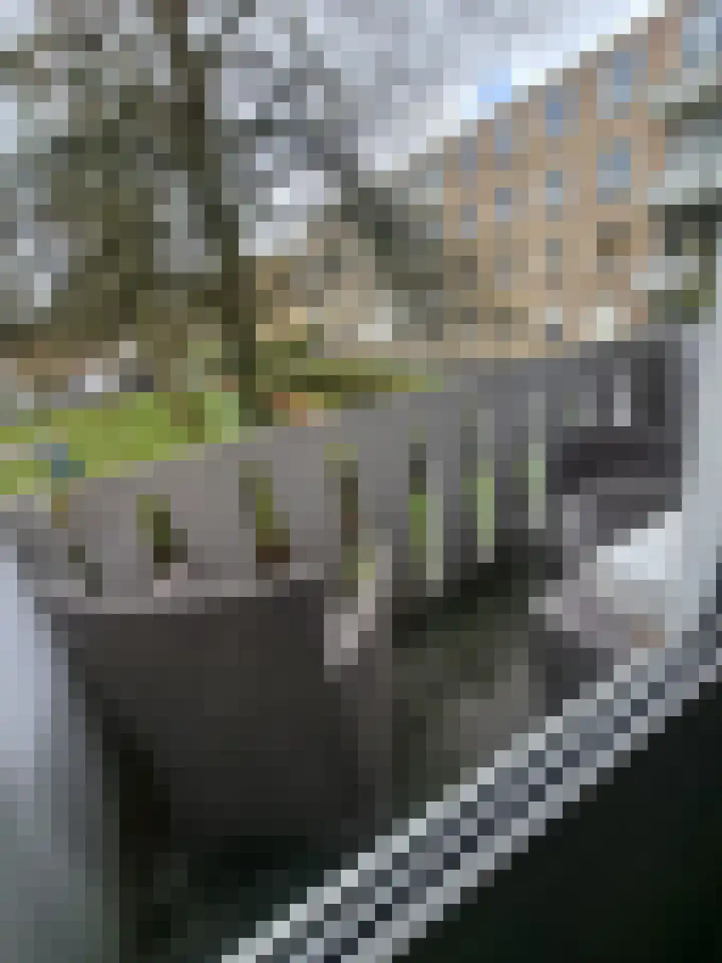 Karel van Egmondstraat 54 Venlo thumbnail 9