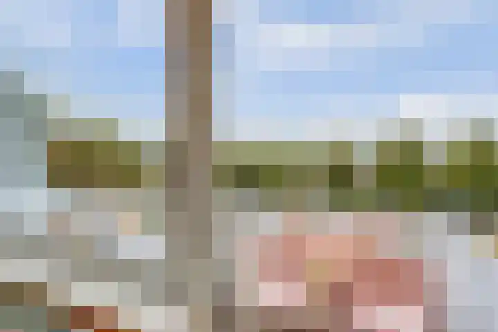 Karel van Egmondstraat 82 Venlo thumbnail 13