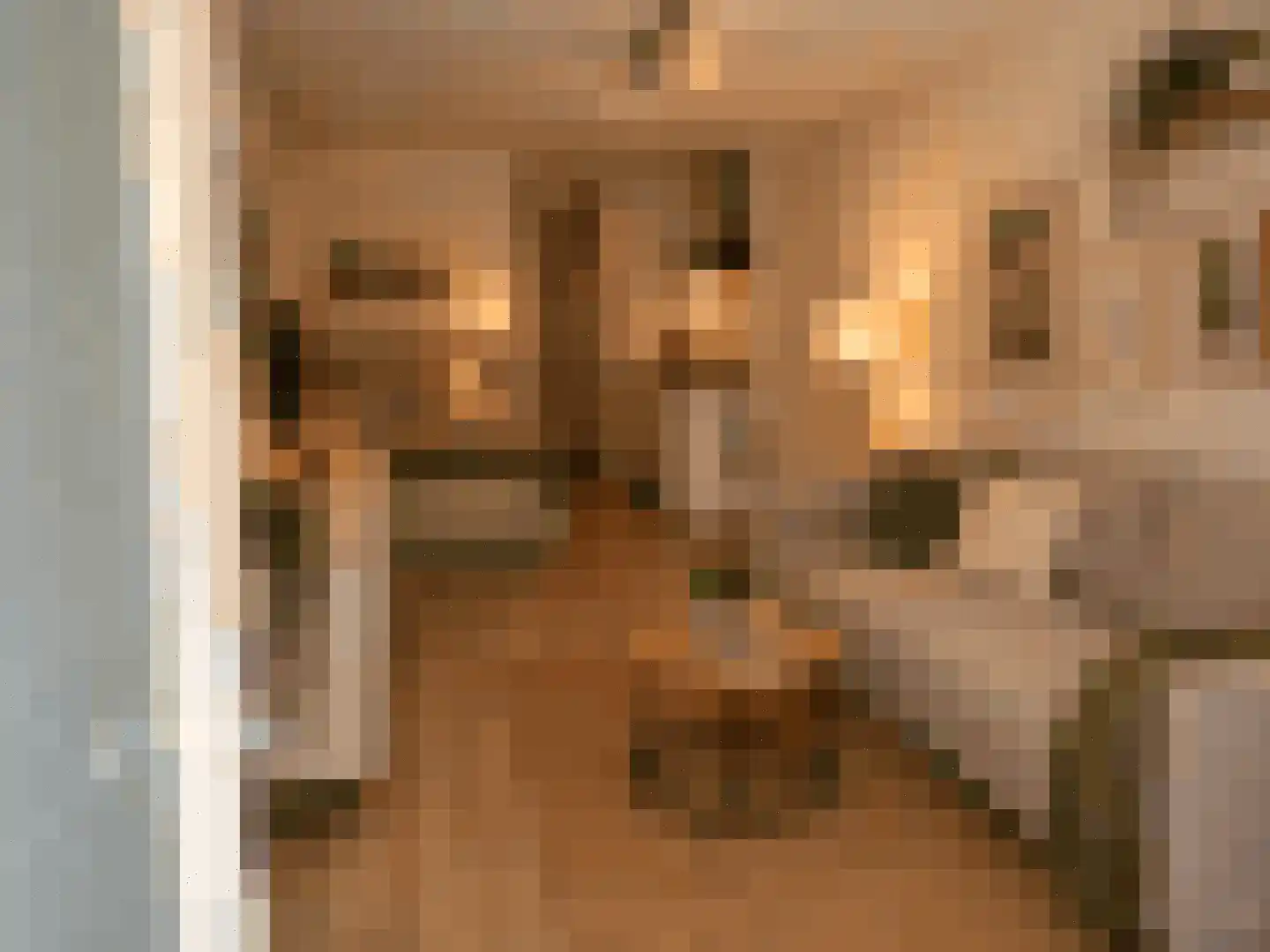 Karel van Gelderstraat 2 B Arnhem thumbnail 5