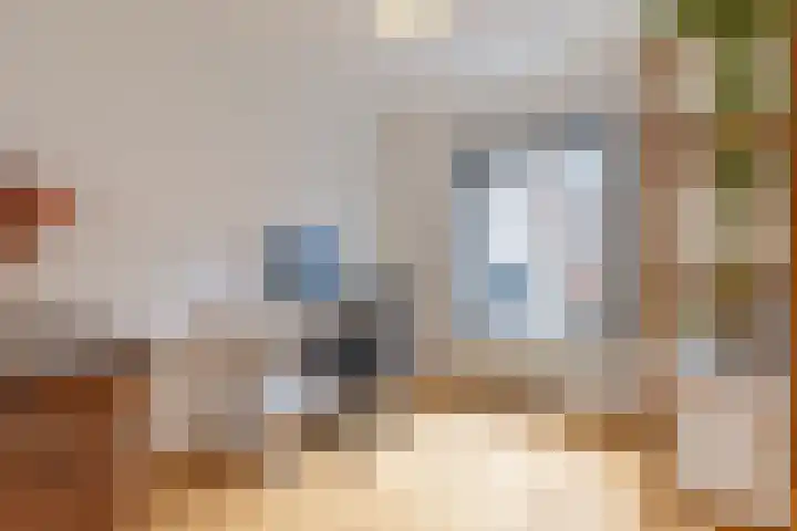 Karel van Gelderstraat 20 Arnhem thumbnail 21