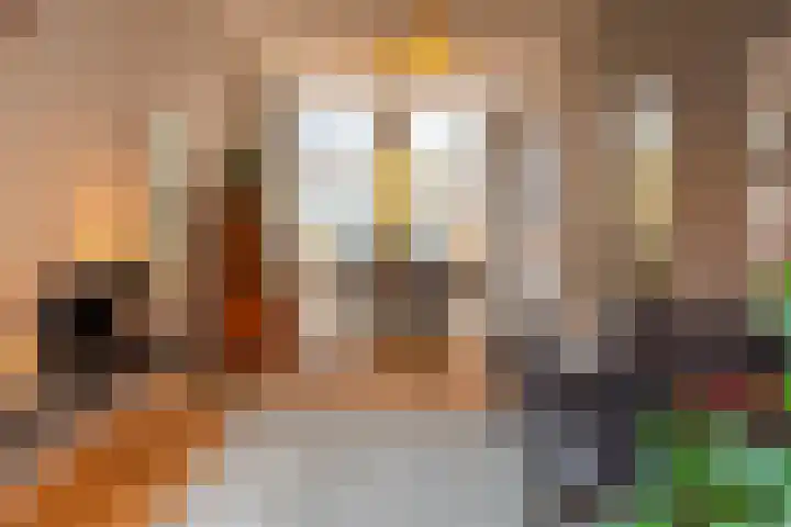 Karel van Gelderstraat 20 Arnhem thumbnail 4