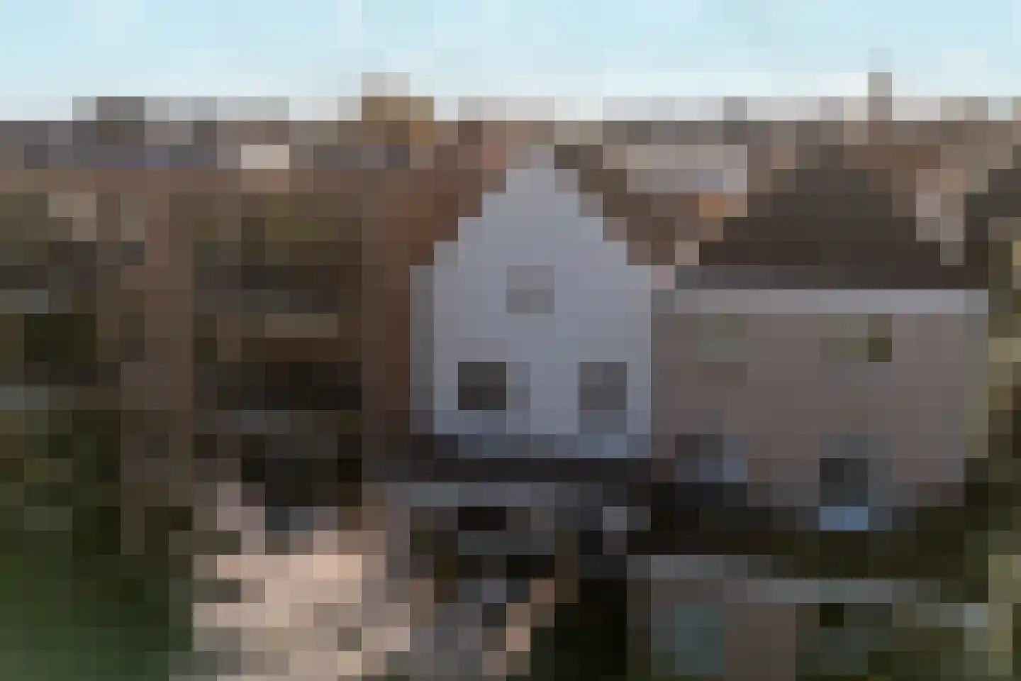 Karel van Gelderstraat 23 Arnhem thumbnail 36