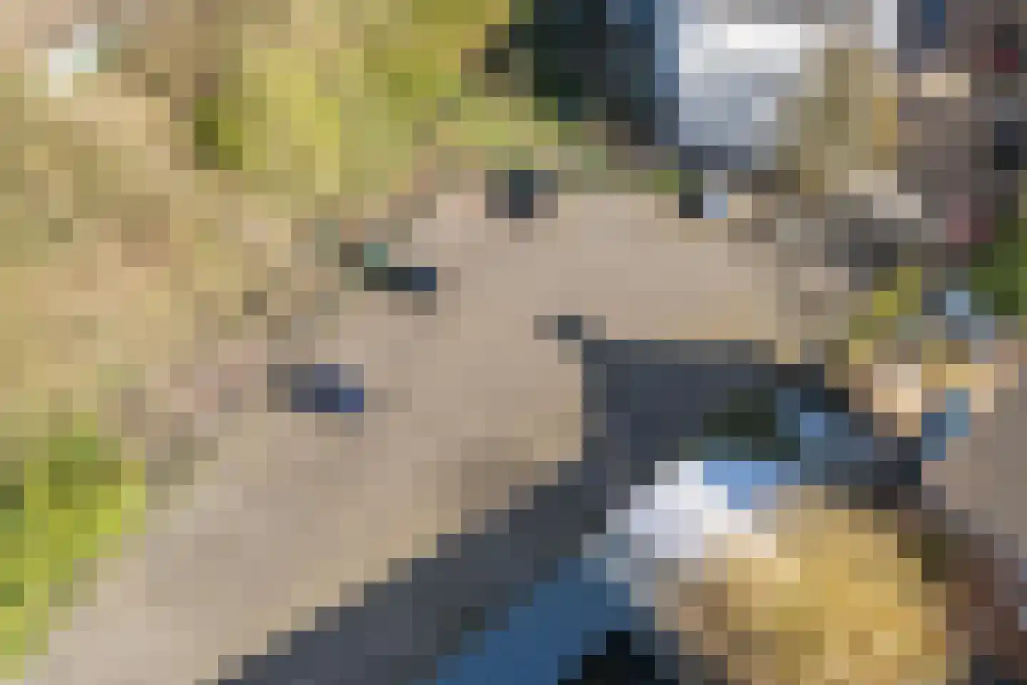 Karel van Gelderstraat 23 Arnhem thumbnail 41