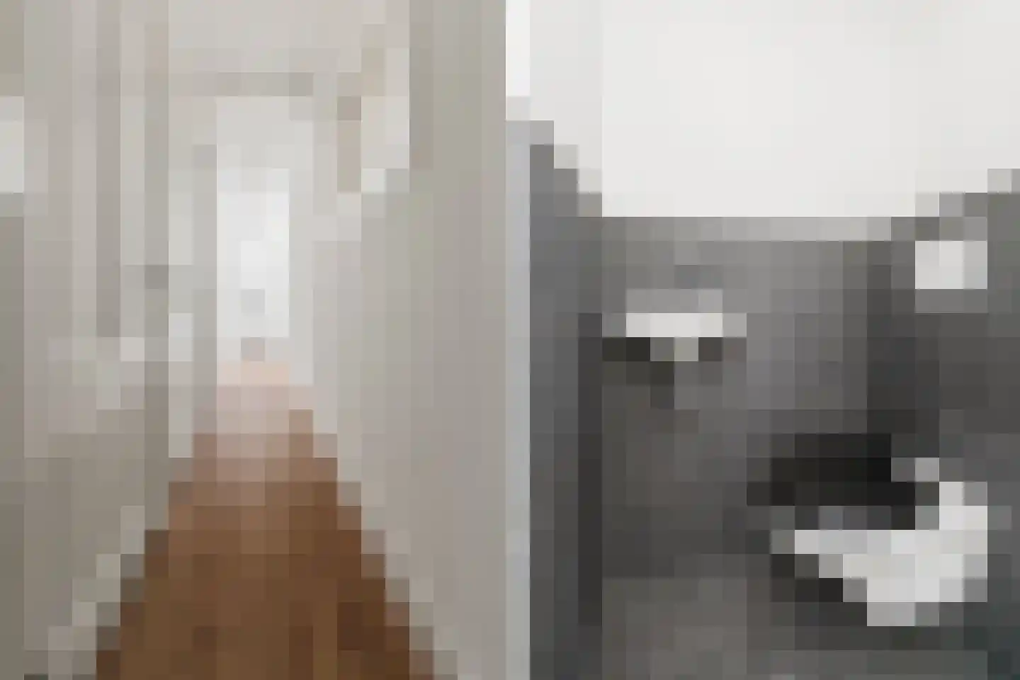 Karel van Gelderstraat 5 Arnhem thumbnail 14
