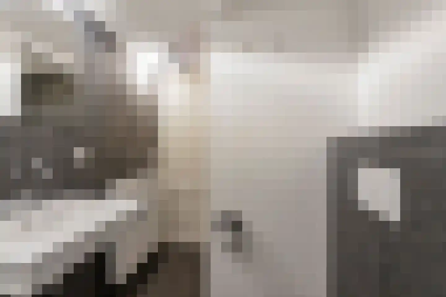 Karel van Gelderstraat 5 Arnhem thumbnail 19