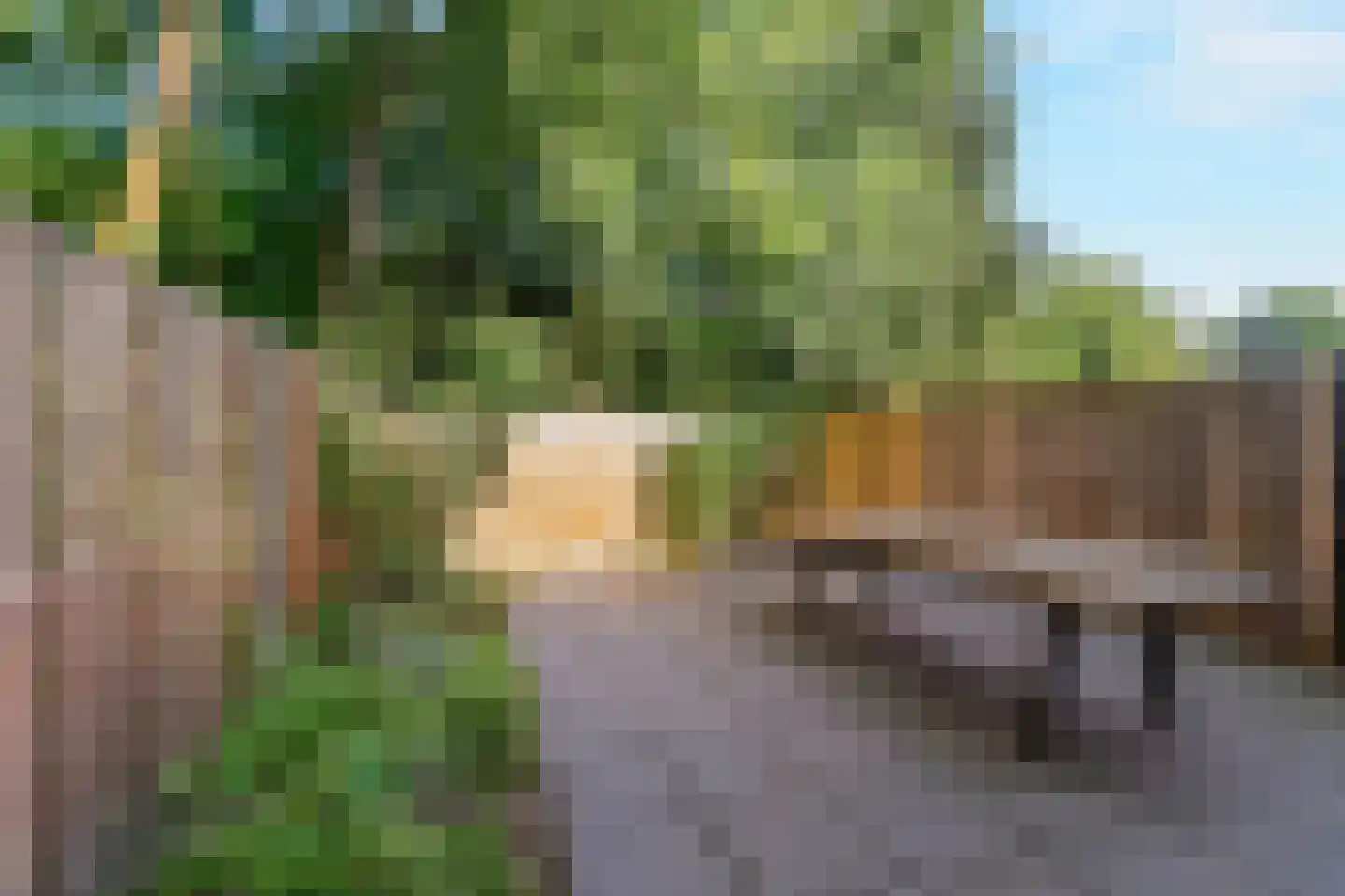 Karel van Gelderstraat 5 Arnhem thumbnail 25