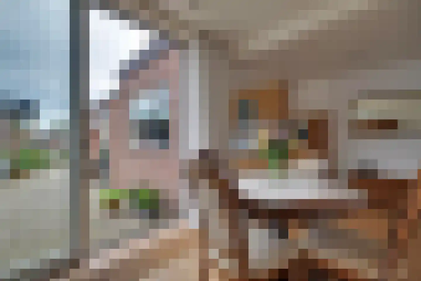 Karel van Gelrestraat 12 Lobith thumbnail 12