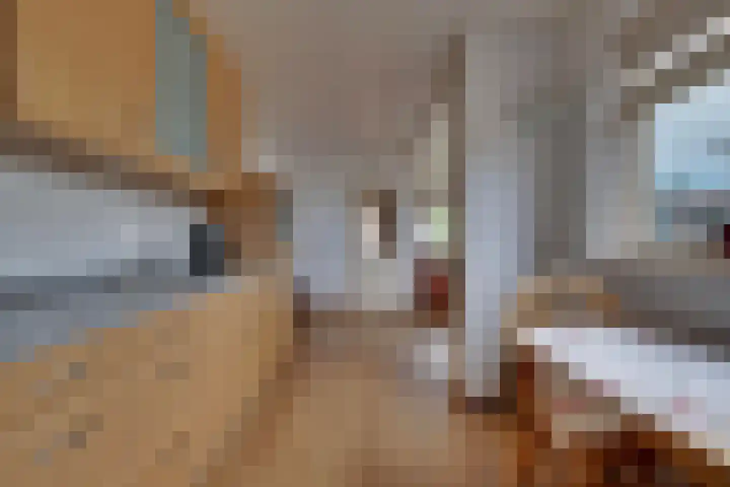 Karel van Gelrestraat 12 Lobith thumbnail 14