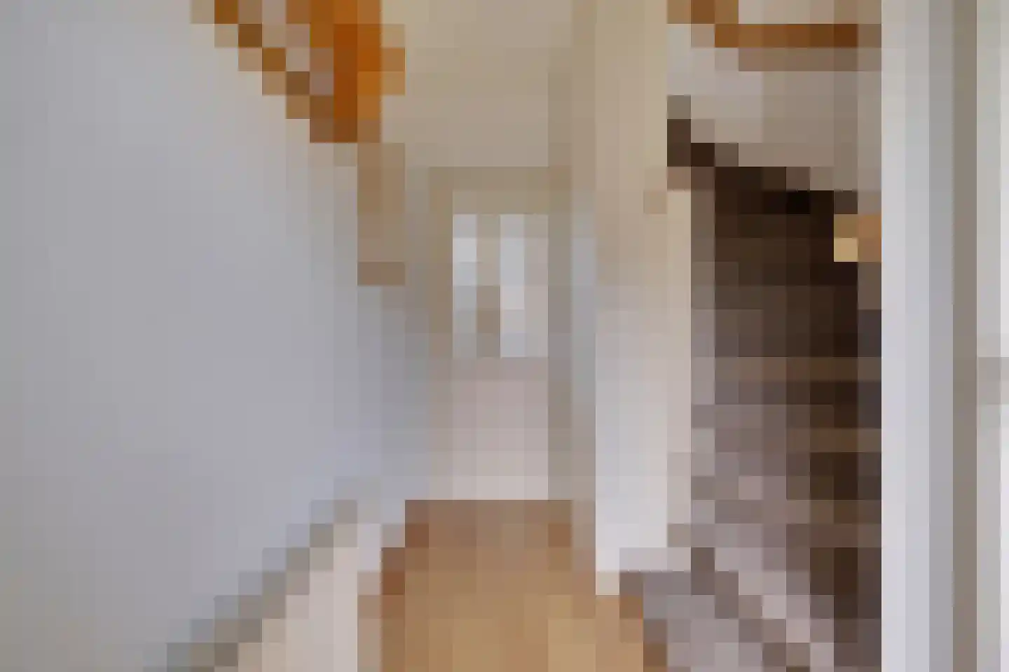 Karel van Gelrestraat 12 Lobith thumbnail 7