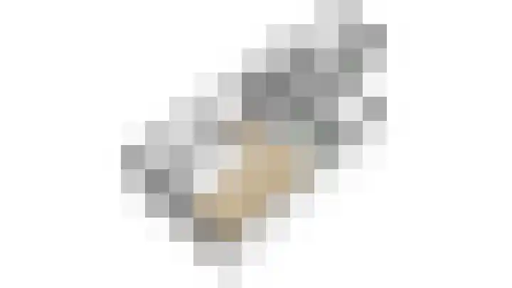Karel van Gelrestraat 16 Lobith thumbnail 34
