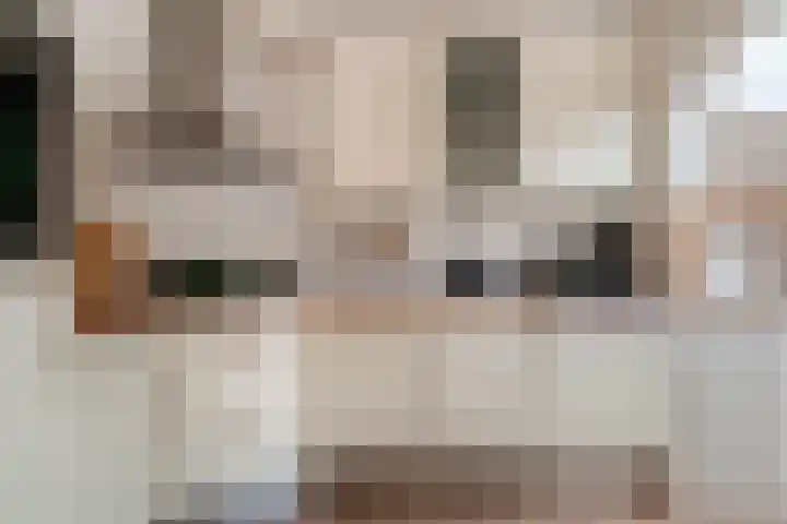 Karel van Gelrestraat 20 Lobith thumbnail 17