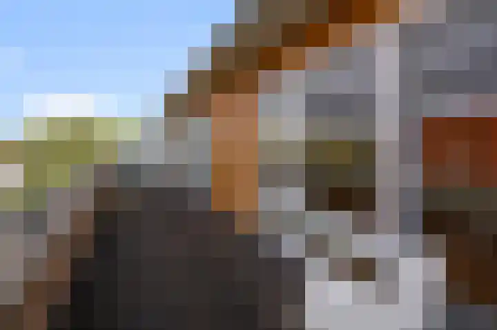 Karel van Manderhof 129 Uithoorn thumbnail 26