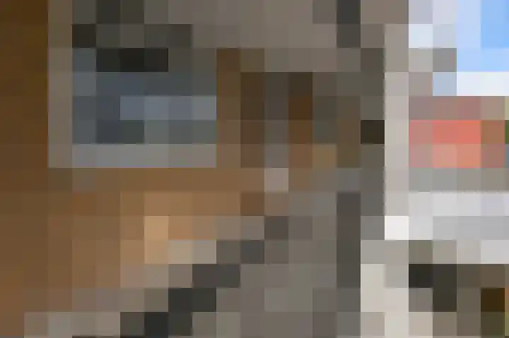 Karel van Manderhof 129 Uithoorn thumbnail 29