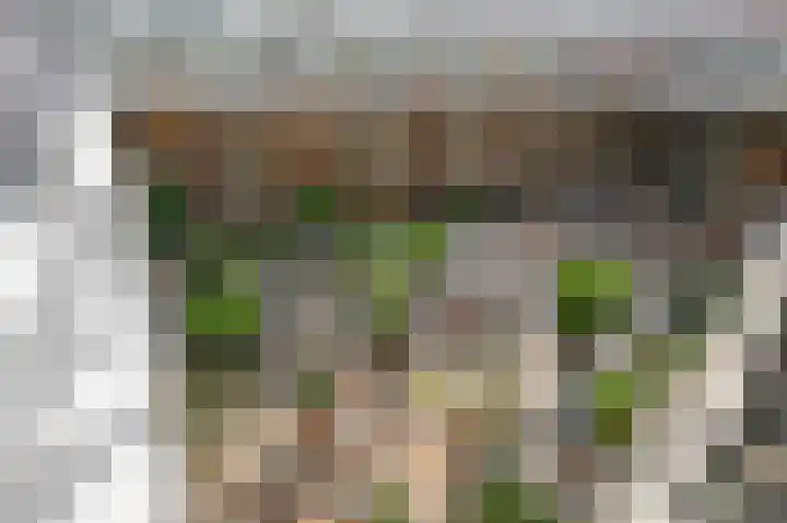 Karel van Manderhof 129 Uithoorn thumbnail 31