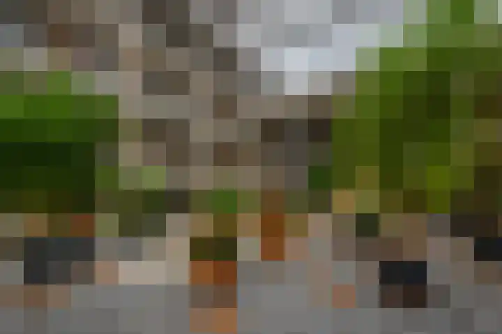 Karel van Manderhof 129 Uithoorn thumbnail 32