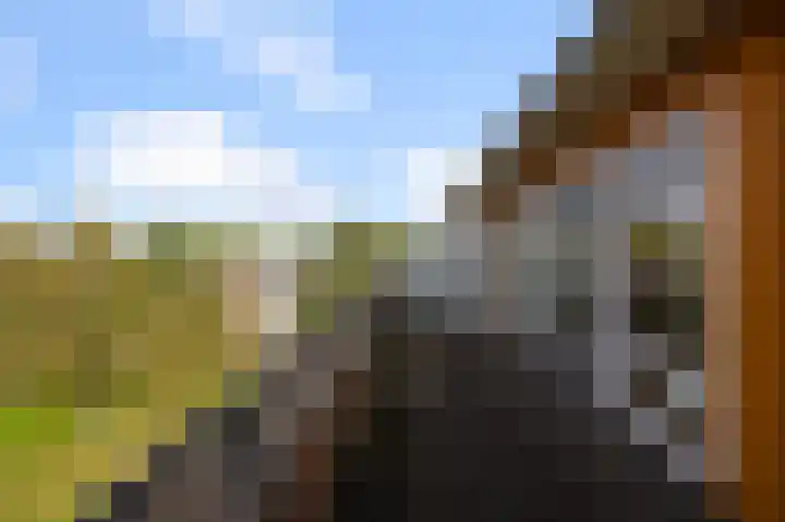 Karel van Manderhof 129 Uithoorn thumbnail 5