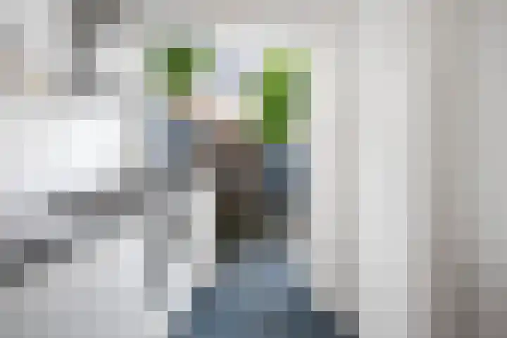 Karel van Manderstraat 108 Haarlem thumbnail 13