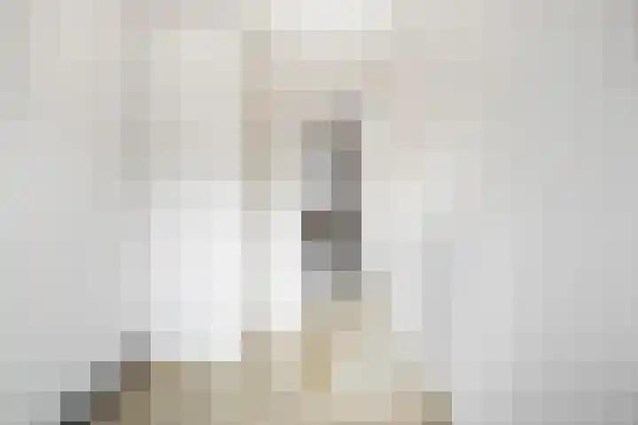 Karel van Manderstraat 108 Haarlem thumbnail 25