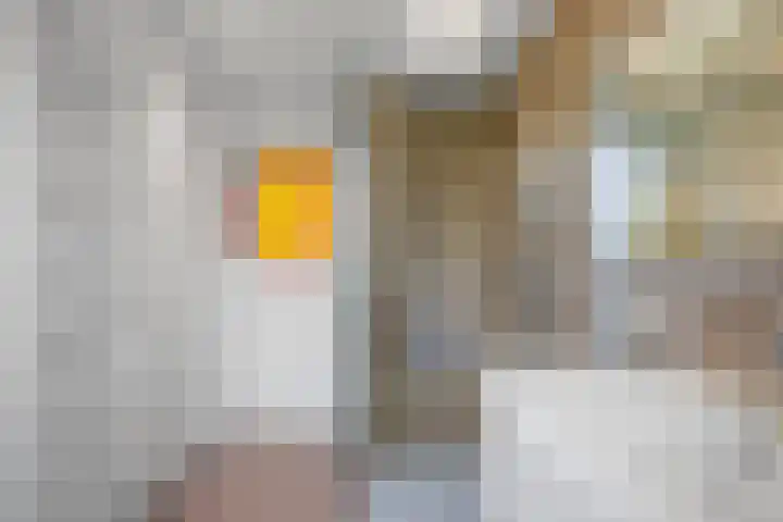 Karel van Manderstraat 108 Haarlem thumbnail 29