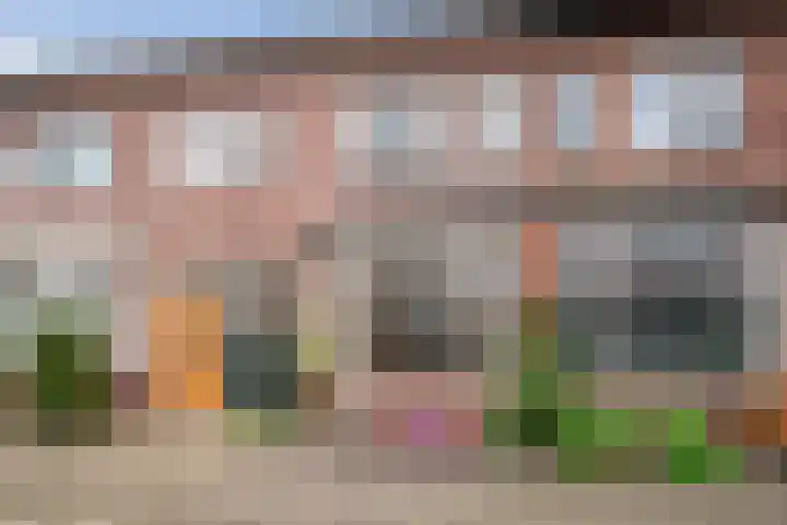 Karel van Manderstraat 108 Haarlem thumbnail 31