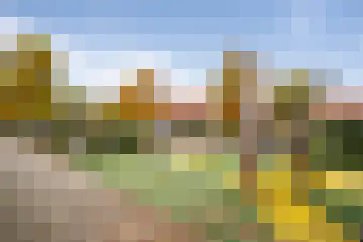 Karel van Manderstraat 108 Haarlem thumbnail 32