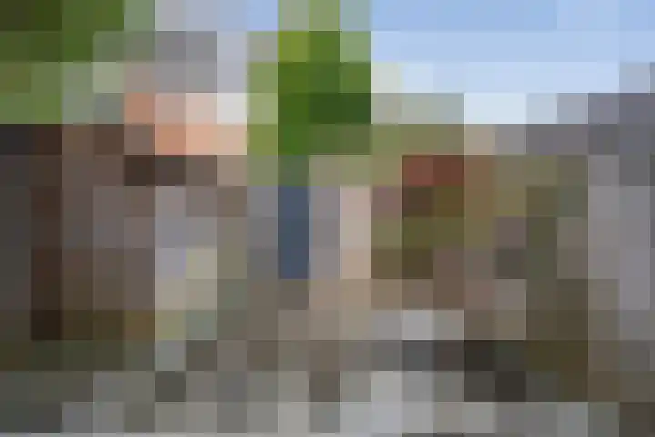 Karel van Manderstraat 108 Haarlem thumbnail 4