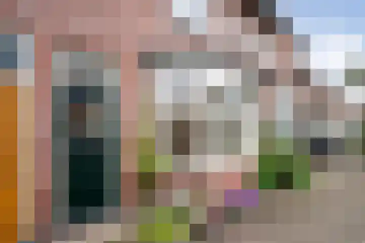 Karel van Manderstraat 108 Haarlem thumbnail 5