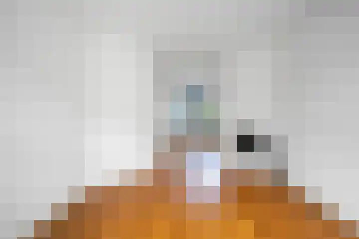 Karel van Manderstraat 108 Haarlem thumbnail 9